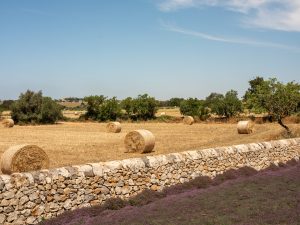 sicily country