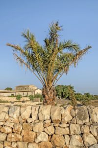 ville con piscina matrimoni ed eventi sicilia