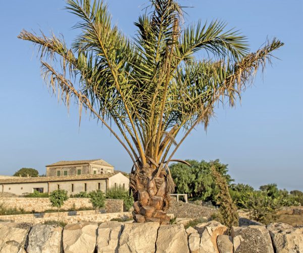 ville con piscina matrimoni ed eventi sicilia